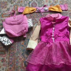 Paw Patrol Sky costume